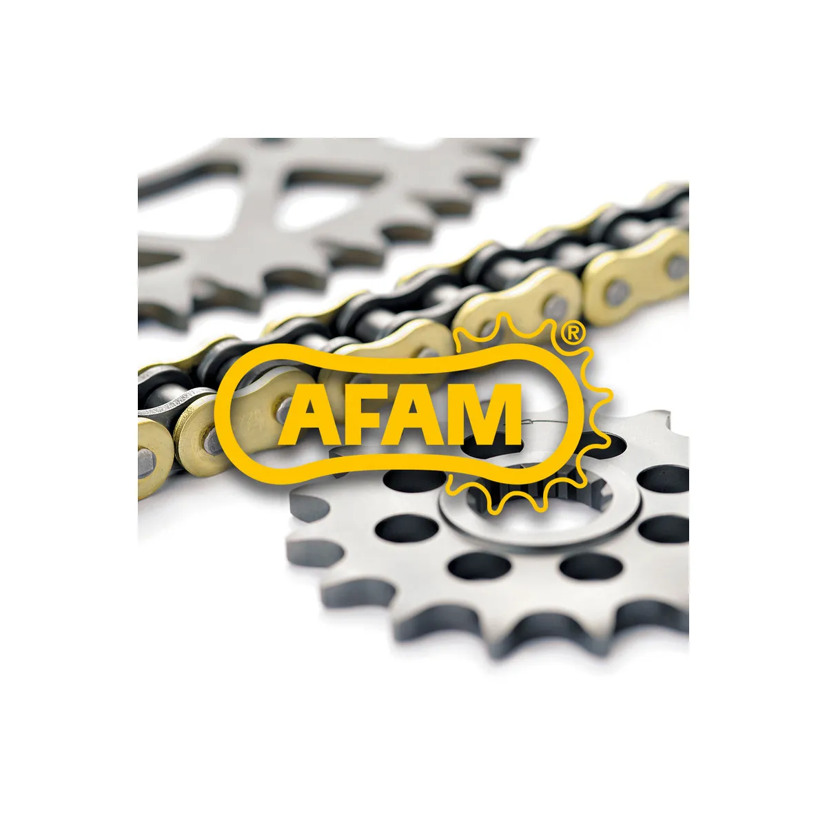 Kit chaine 530 AFAM - Couronne acier - Type de chaine au choix - SUZUKI GSF 1200 N 2006